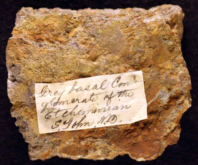 Colour image of gold-coloured rock with original specimen label