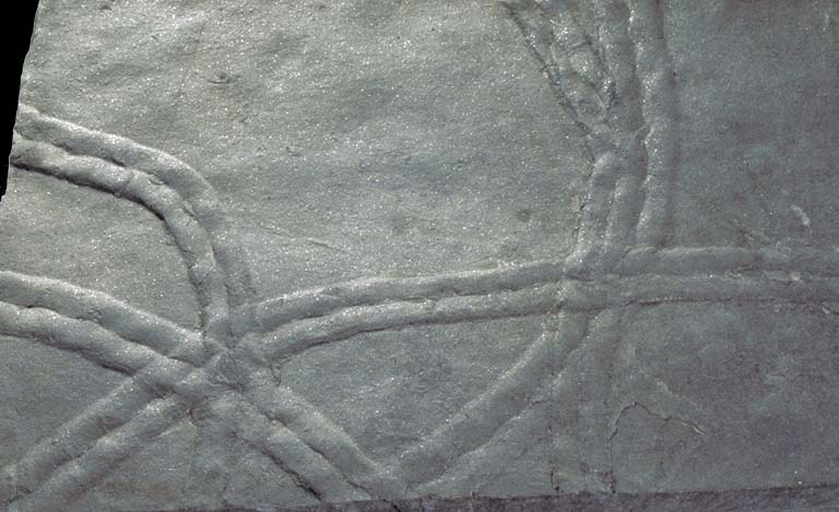 Colour image of gray rock with darker gray winding trail
