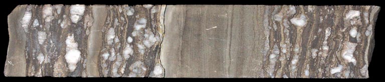 Image couleur de roche brune longue et étroite, à sections tachetées de roc blanc et gris