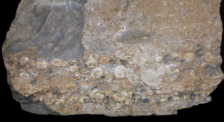 Image couleur de roche grise avec bosses rondes de roc blanc, gris et brun