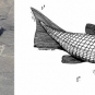 Double image couleur : roche grise avec fossile noir de poisson et dessin de l’animal
