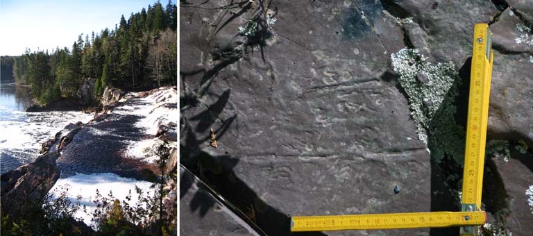 Double image couleur : chutes d’eau et gros plan de roches grises portant des traces d’animaux fossilisées