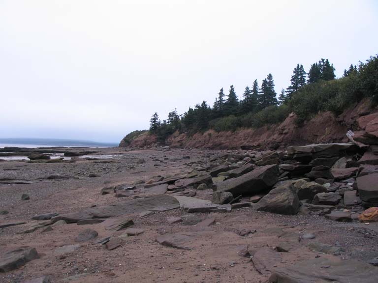 Photographie couleur d’un rivage avec des roches rouges et des arbres verts