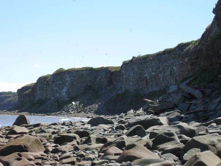 Photographie couleur d’une plage avec de hautes falaises grises