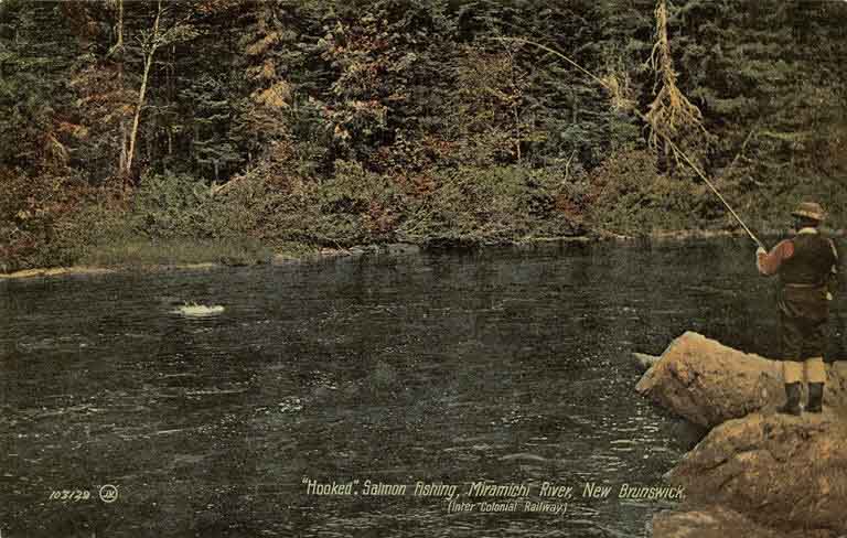 Photographie couleur d’un cours d’eau, d’une rive arborée et d’un pêcheur