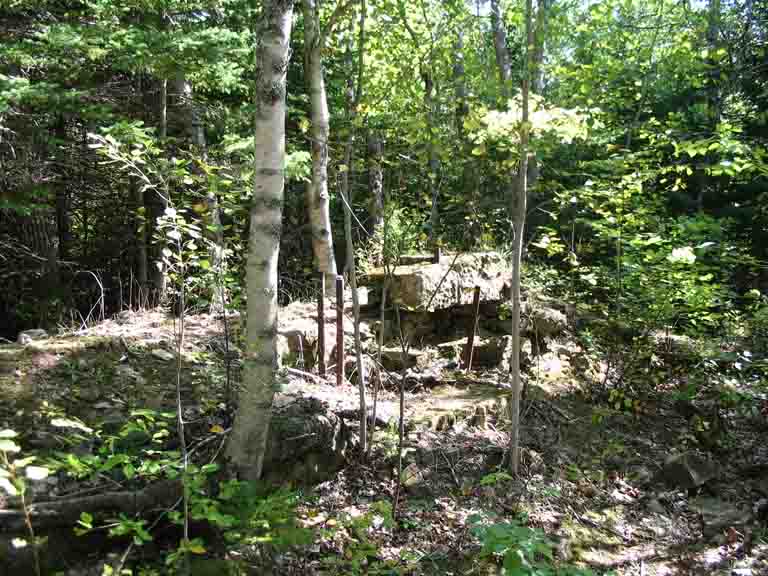 Colour photograph of square rocks with vertical iron bars among trees and bushes