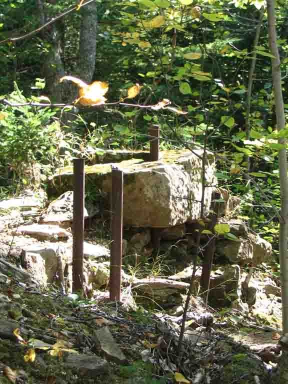 Colour photograph of square rocks with vertical iron bars among trees and bushes