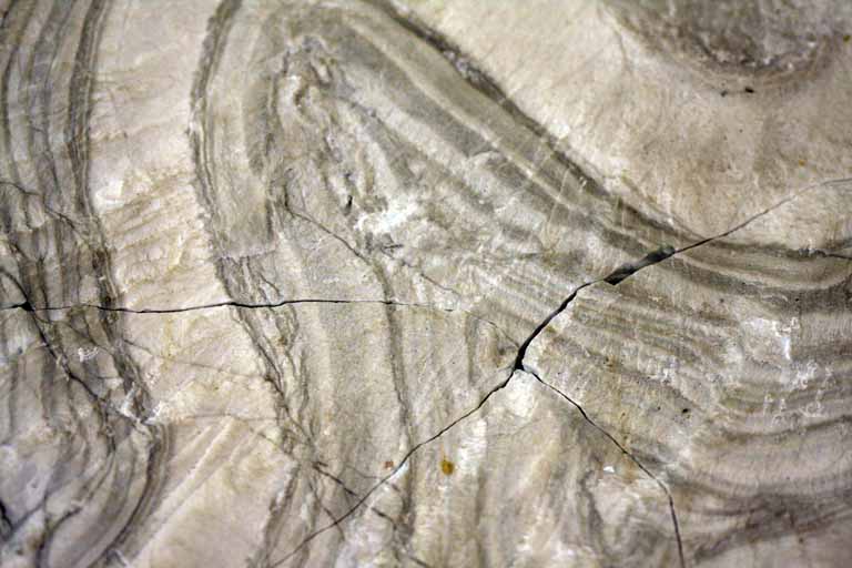 Black and white image of gray rock with curved stripes of black, white and gray
