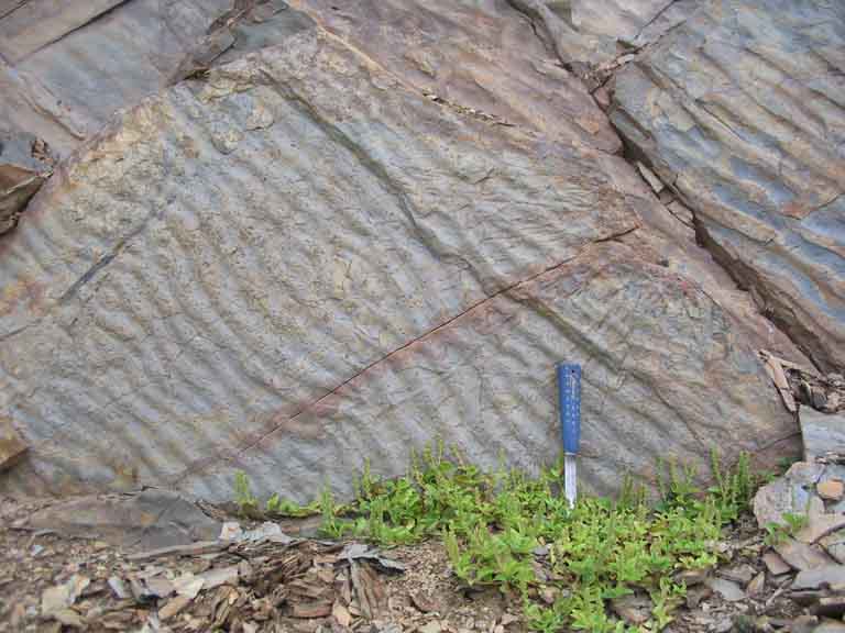 Colour photograph of gray rock with diagonal striping and hammer for scale