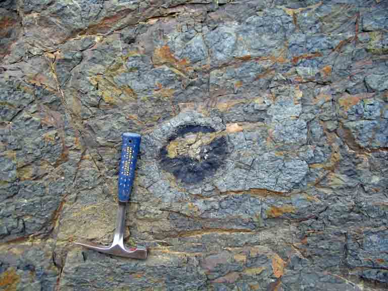 Colour photograph of rock face with black circular fossil in center and hammer for scale