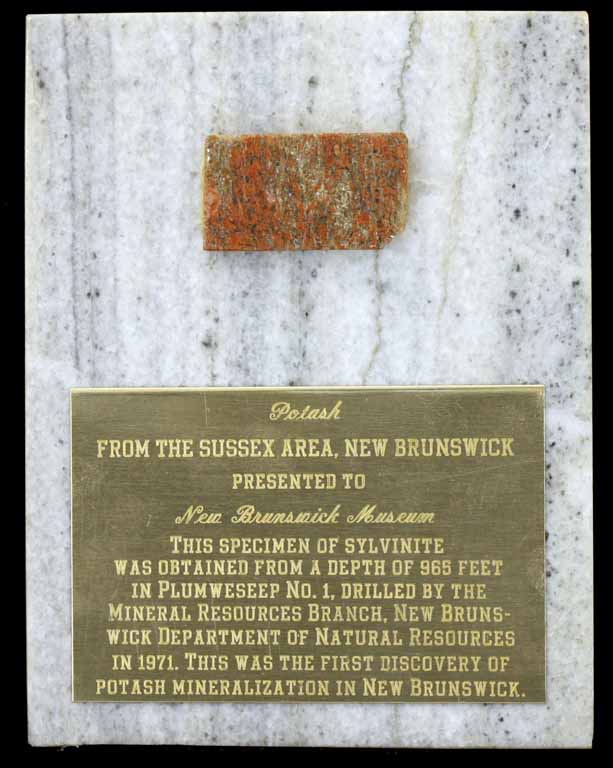 Colour image of white marble plaque with bronze text panel and orange rock with white and gray spots