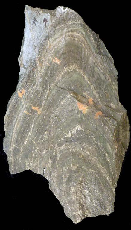 Image couleur de roche grise avec bandes semi-circulaires gris clair
