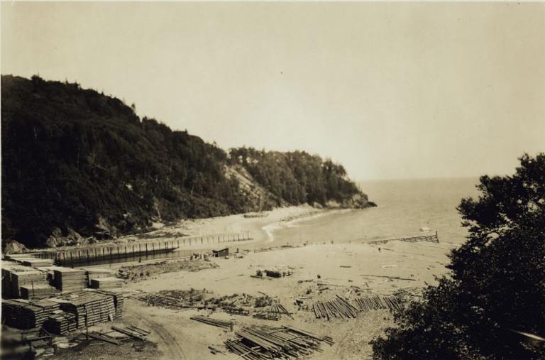 Black and white photograph of a shoreline with trees and a lumber mill with stacks of logs