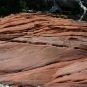 Colour photograph of a red sandstone rock