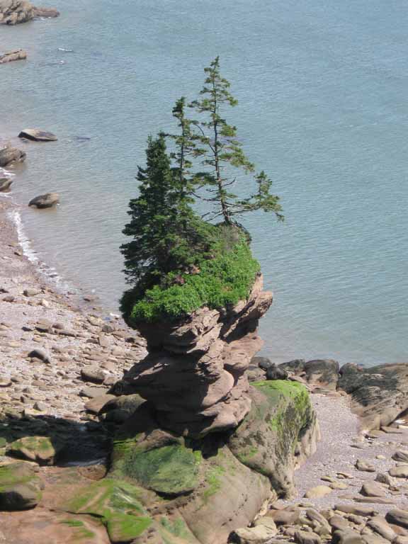 Photographie couleur d’une colonne en roche rouge surmontée de trois arbres sur le rivage