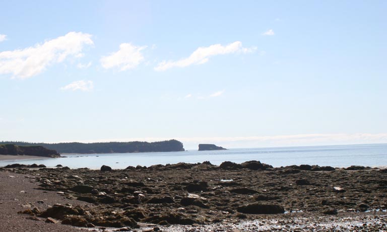 Photographie couleur du rivage océanique avec des falaises rocheuses à l’arrière-plan