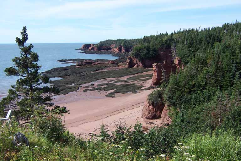 Photographie couleur d’une roche en grès rouge au bord de l’océan avec une plage et des arbres au sommet de la falaise