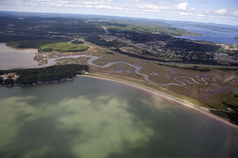 Photographie couleur d’une plage avec l’eau verte de l’océan au premier plan et des terres verdoyantes à l’arrière-plan
