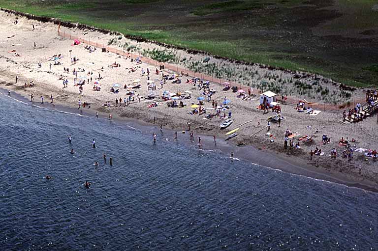 Photographie couleur de gens sur une plage avec de la végétation verdoyante et l’eau bleue de l’océan 