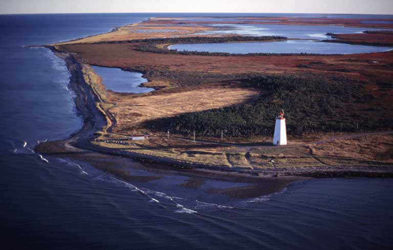 Colour photograph of a lighthouse on a beach with green plants and the blue ocean water