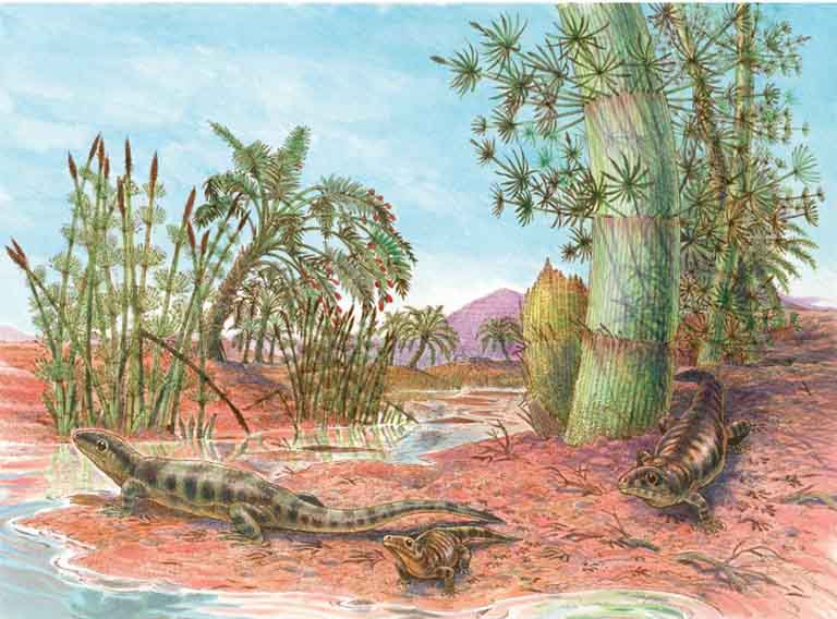 Watercolour painting of small reptiles walking on red mud near the base of green trees