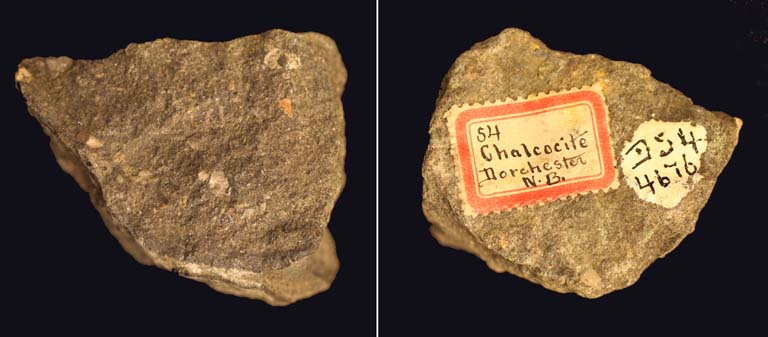 Double colour image of a gray rock and the other side of the same rock with a label ‘Chalcocite Dorchester N.B.’