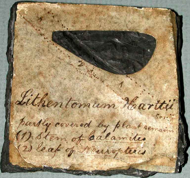 Colour photograph of a gray rock with white label with black triangle