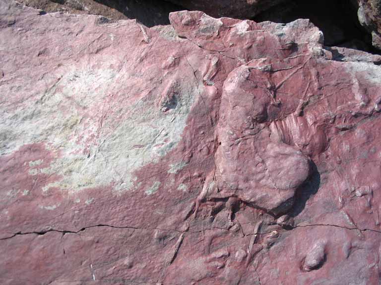 Colour photograph of a red rocks with bumps