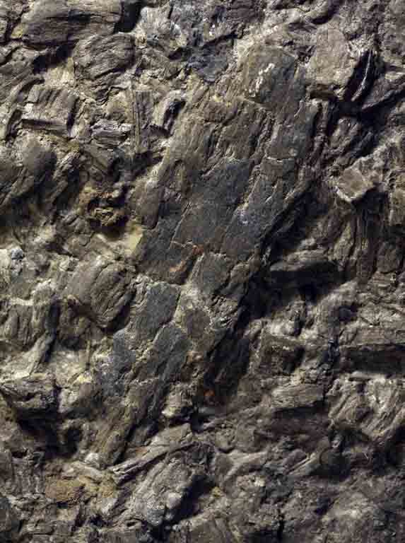 Colour photograph of a black rock