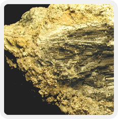 Image d’une roche brune avec du bois fossile brun foncé