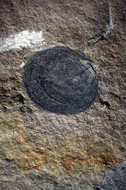 Colour image of gray rock with large black dot