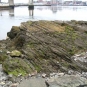 Colour photograph of rock outcrop with vertical striping along harbour