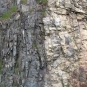 Colour photograph of rock face with dark gray rock of one formation on left and light gray rock of another formation on the right