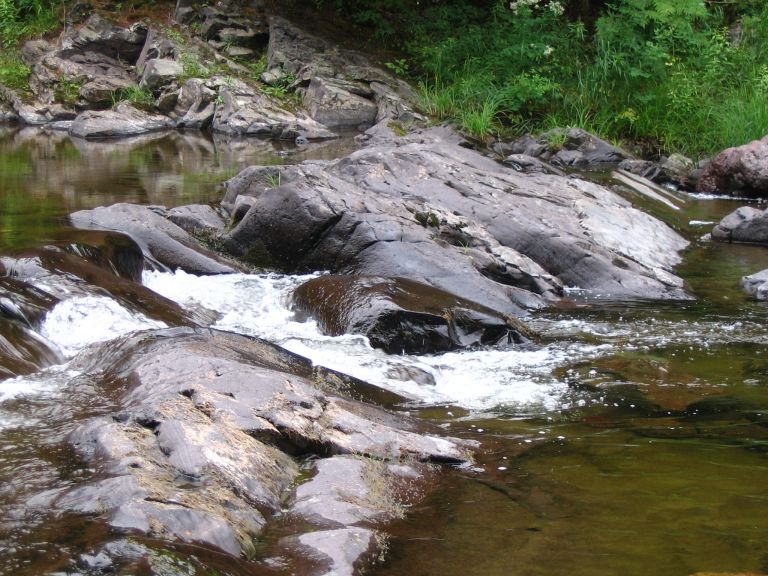 Colour photograph of brook, trees and rocks
