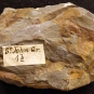 Colour image of brown rock with orange streaks and paper label