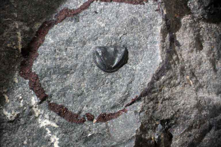 Image couleur de roche grise avec cercle rouge et petite bosse noire