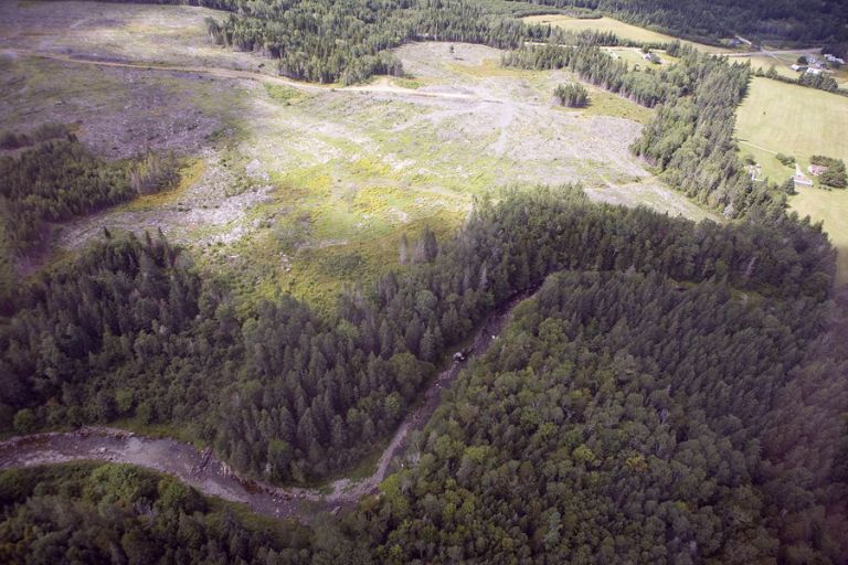 Prise de vue aérienne, en couleur, des méandres d’un ruisseau et d’arbres