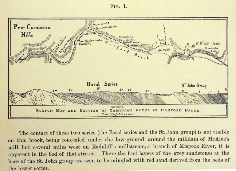 Image couleur d’une carte avec coupe transversale de terrain et texte