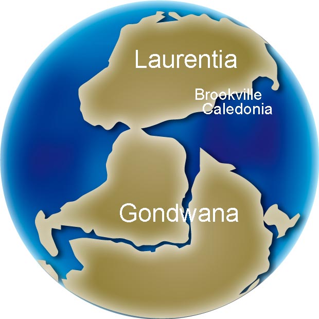 Image couleur du globe montrant le déplacement des continents Gondwana, Laurentia, Brookville, Caledonia