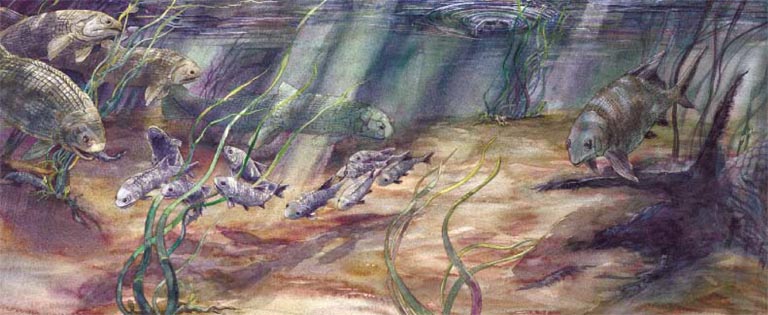 Image couleur d'eau, de poisson et de plantes