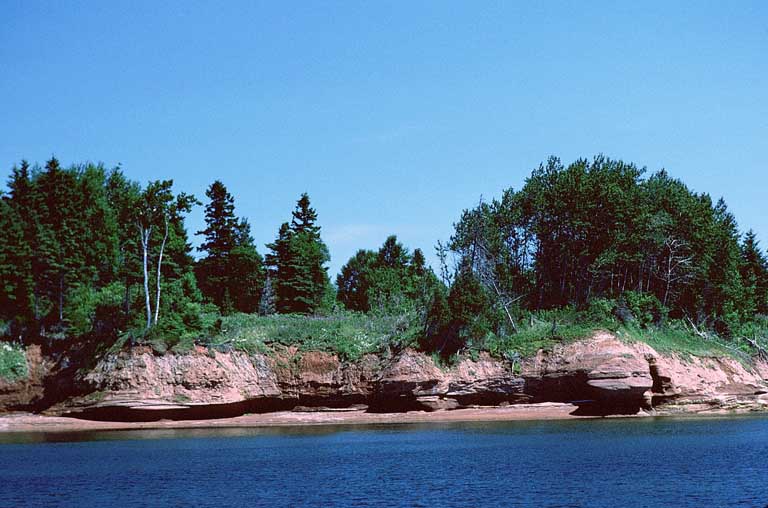 Photographie couleur de l’eau, du rivage rocailleux rouge et d’arbres