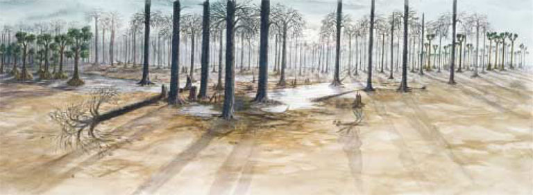 Aquarelle de grands arbres au clair de lune