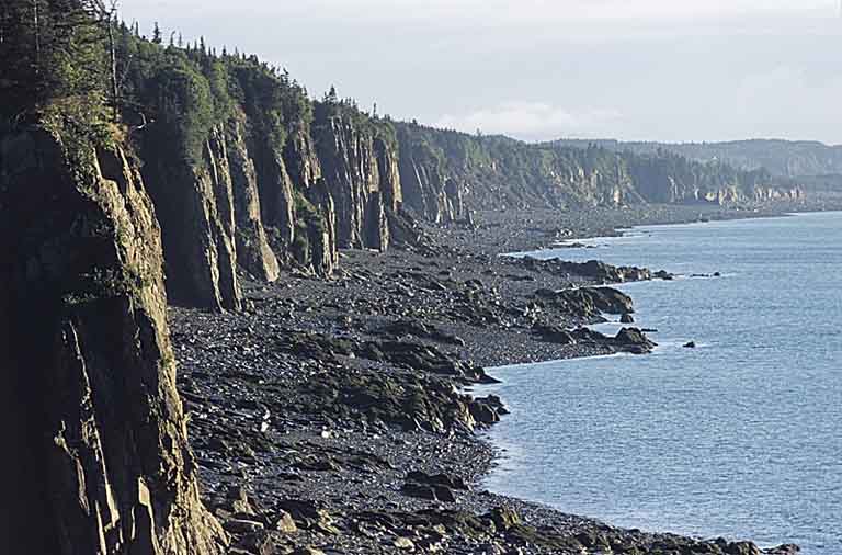 Photographie couleur d’une falaise en roche grise le long d’un rivage