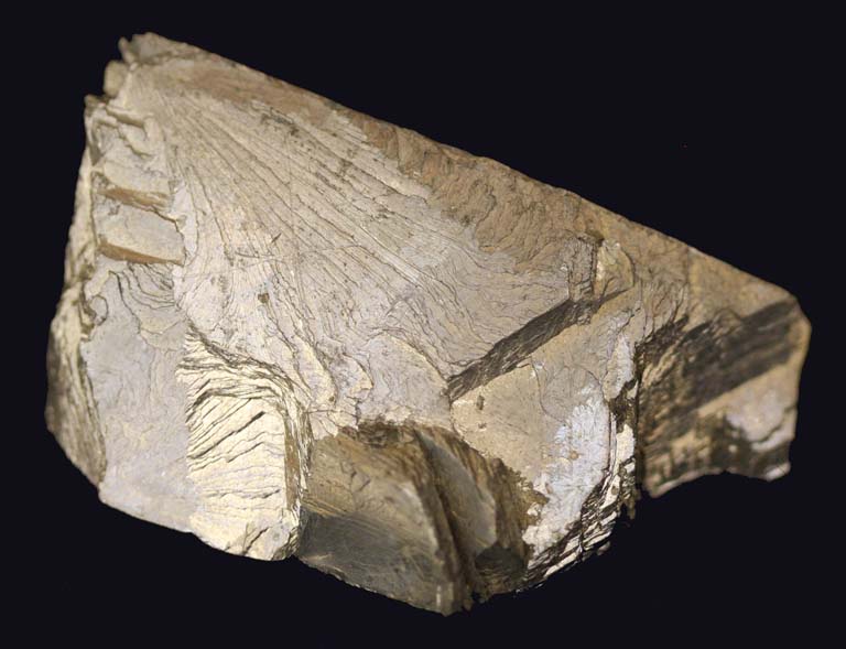 Colour image of brown rock with smooth edges and some sheen