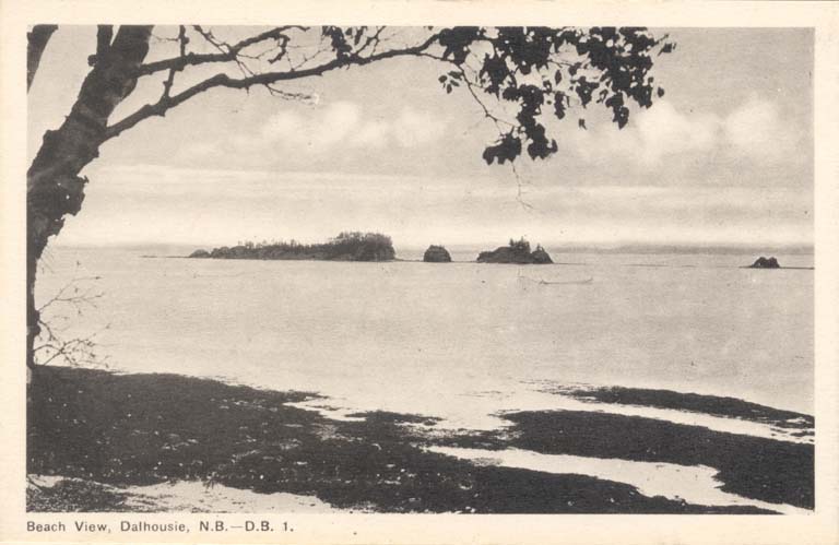 Black and white postcard of beach, water and rocky formations in the distance