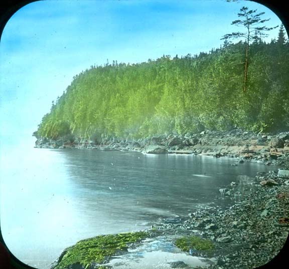 Colour image of water and rocky peninsula with trees