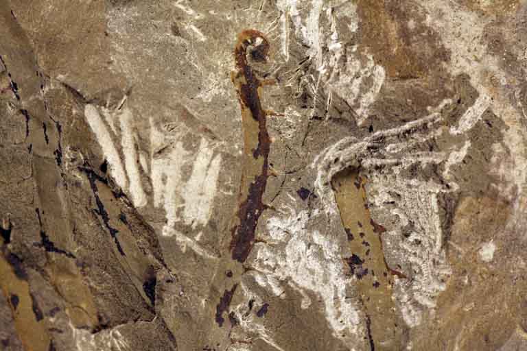 Colour image of brown rock with darker brown and lighter brown vertical stripes