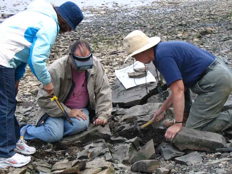 Colour photograph of three people on rocky shore examining black rocks