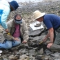 Colour photograph of three people on rocky shore examining black rocks