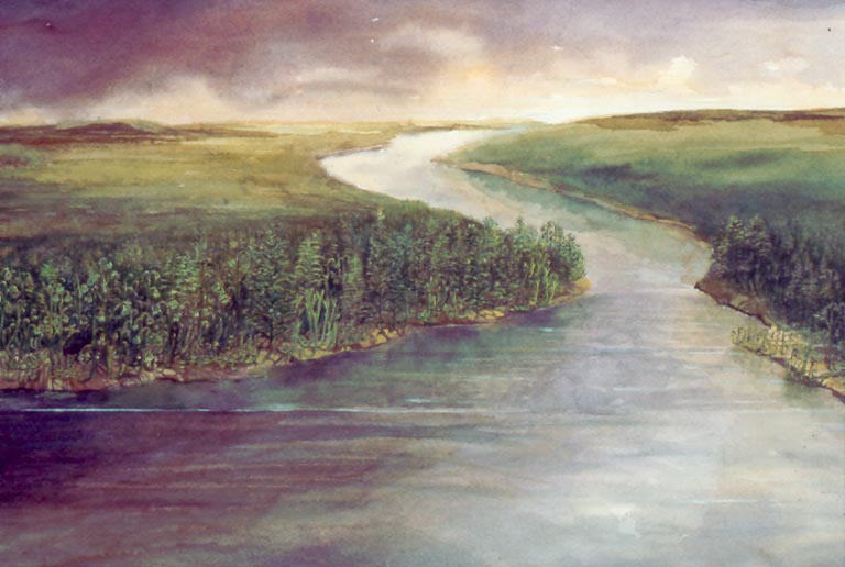 Image couleur de vallée fluviale, d’arbres et de prairies